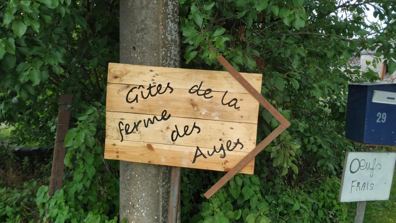 Gite Familial Ferme Des Aujes Falaen Onhaye Exterior foto