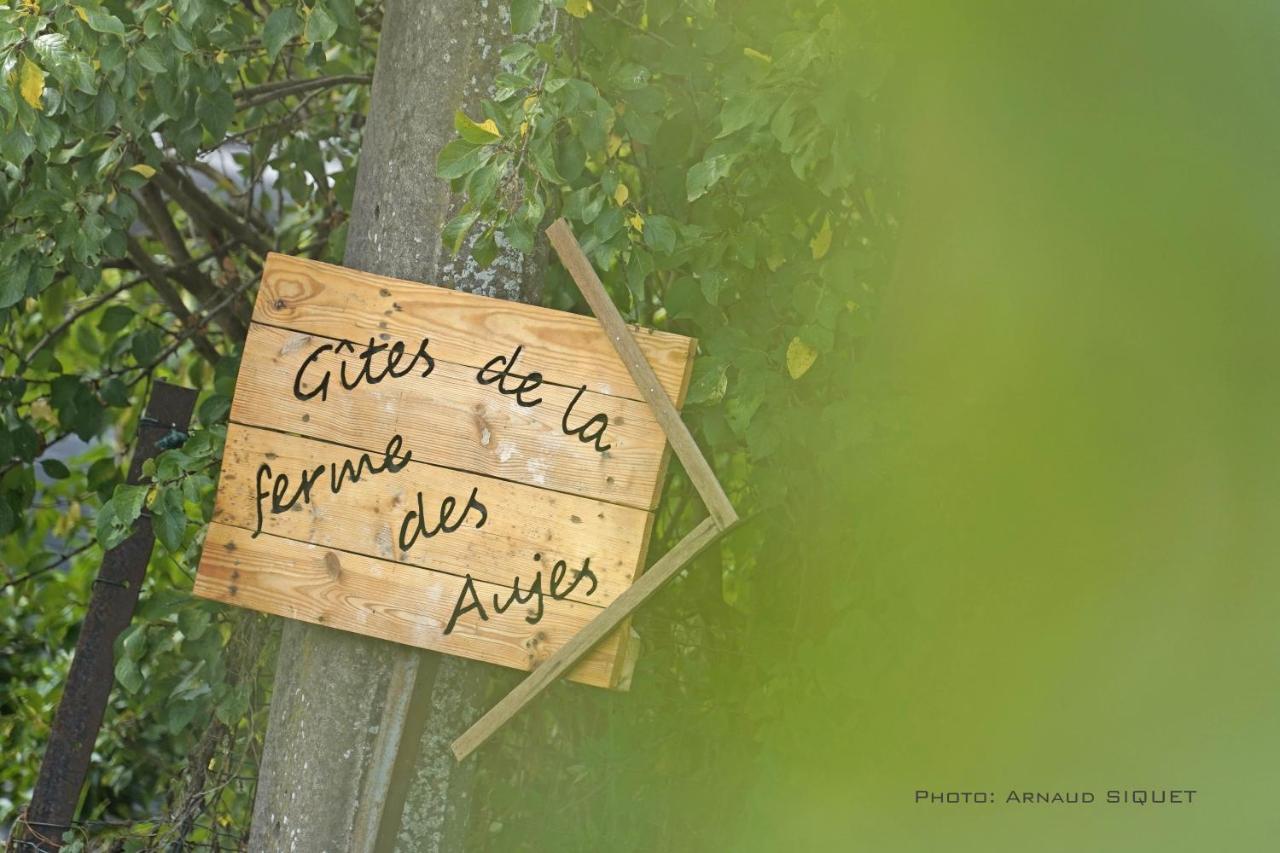 Gite Familial Ferme Des Aujes Falaen Onhaye Exterior foto