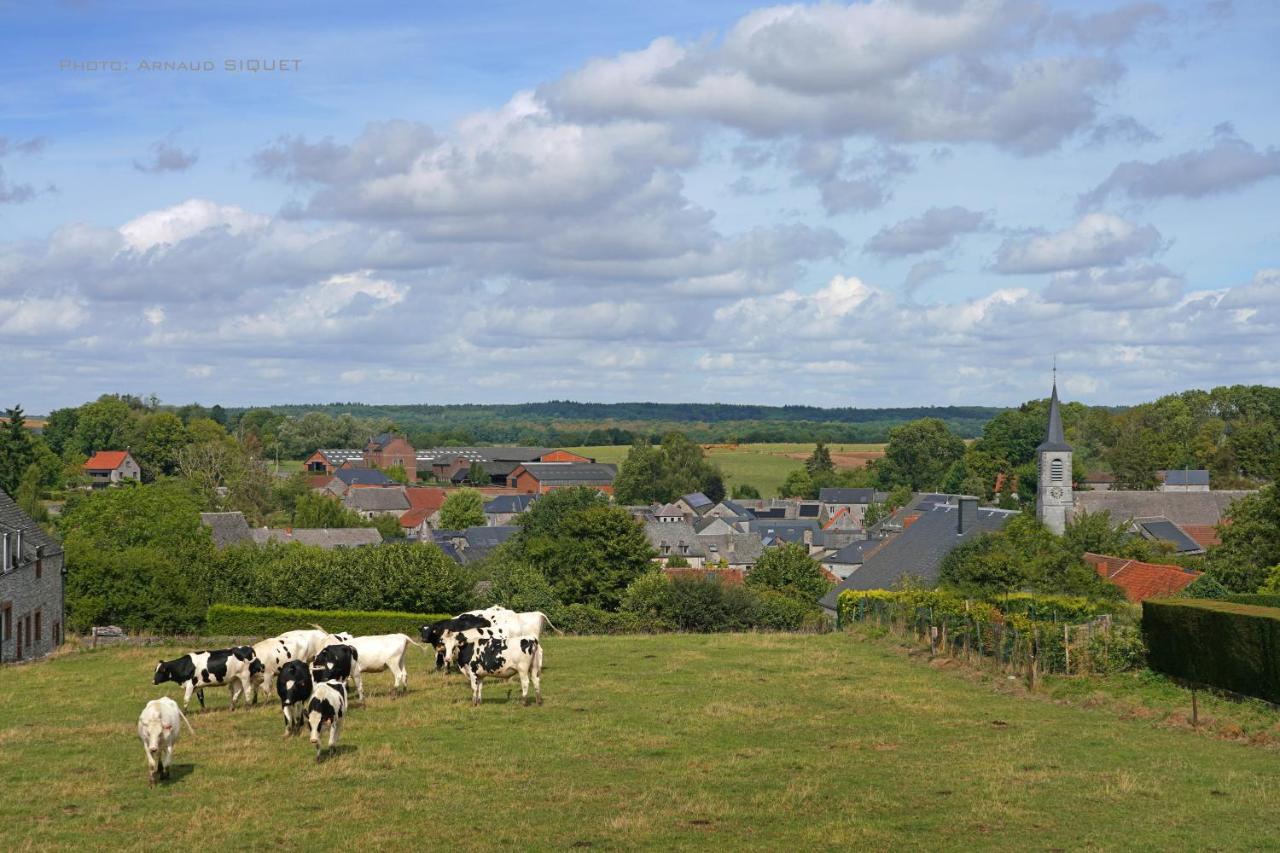 Gite Familial Ferme Des Aujes Falaen Onhaye Exterior foto